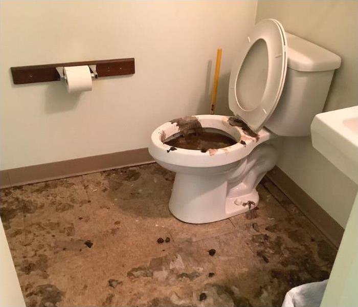 Sewage on bathroom floor
