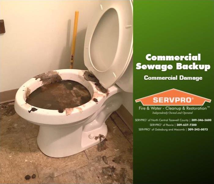 Bathroom toilet and floor messy after a sewage backup.