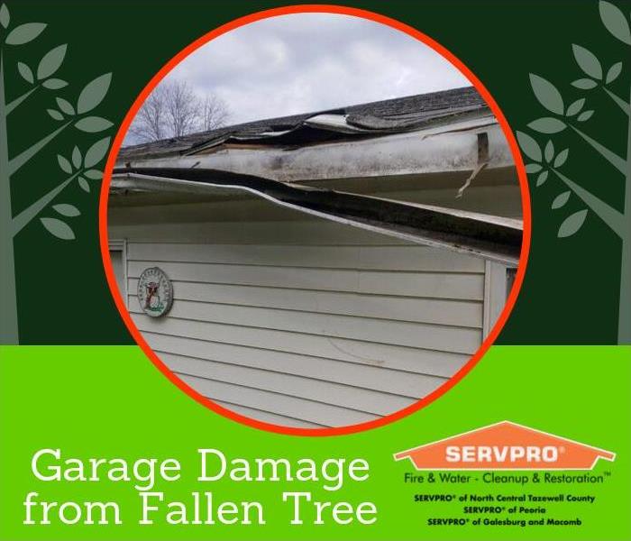 Storms damaged a garage with falling tree branches. The gutter and multiple shingles were knocked down.