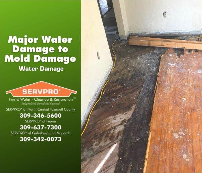 Wood floor pulled up for water mitigation and mold remediation.