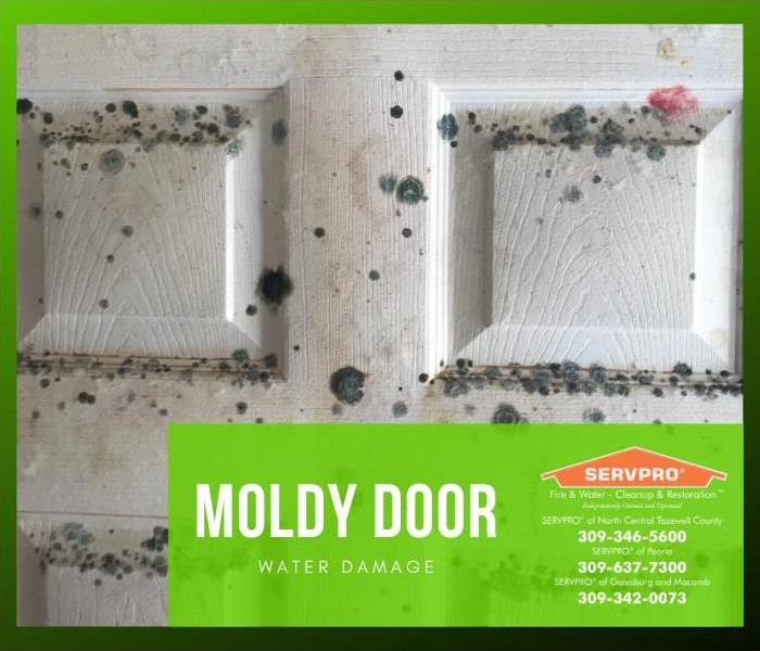Mold on the surface of a door in a building with no residents.