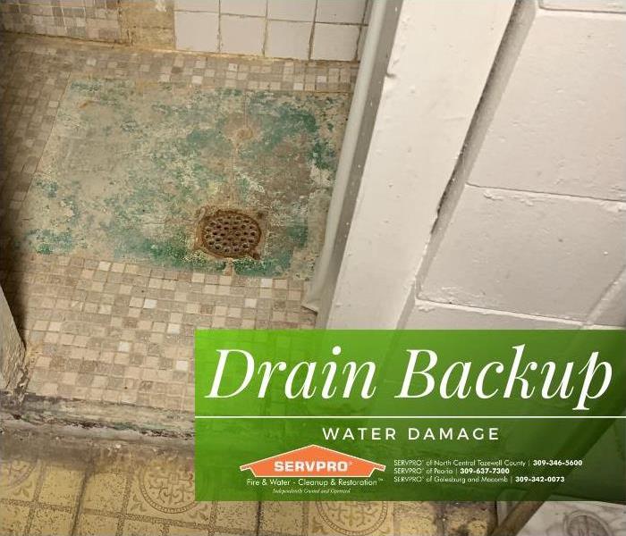 Image of damage from drain water back-up.