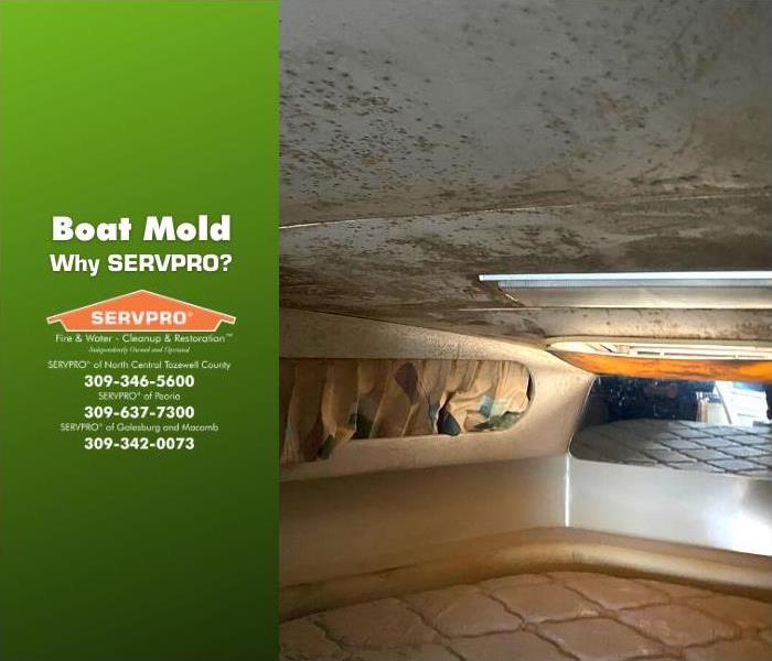 Mold in the inside of a boat.