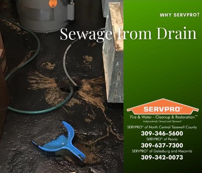Layer of sewage covering a basement floor.