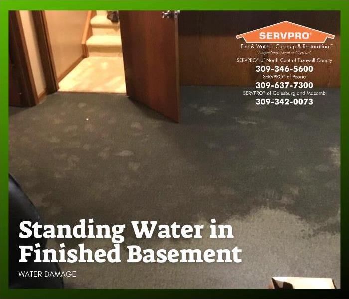 Carpet in finished basement affected by standing water