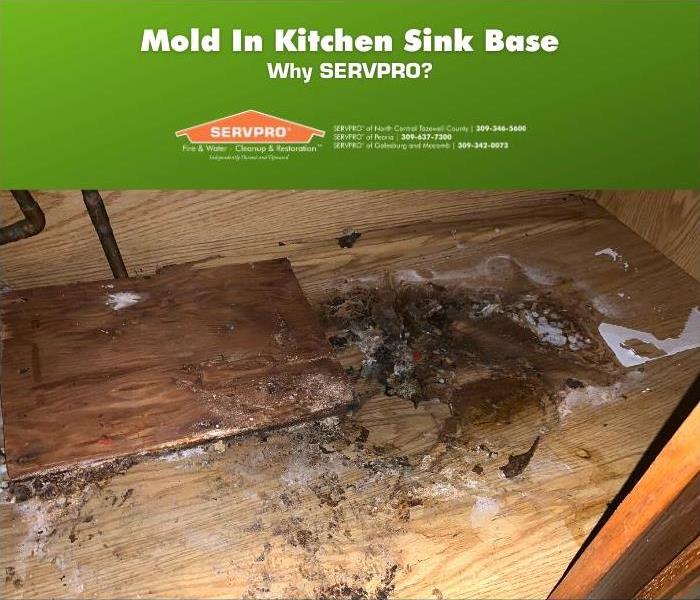Large area of mold in the wooden area underneath a sink.