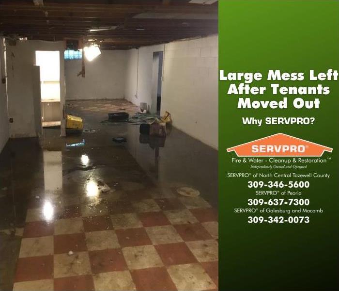Water damage and pet mess left on the basement floor by previous tenants.