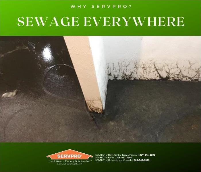 Sewage all over the floor and on the walls