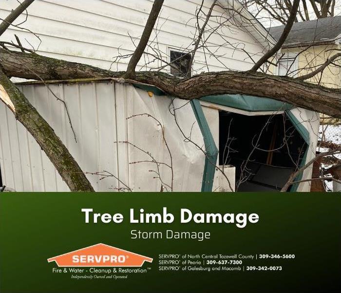 Shed damaged by large fallen tree limb